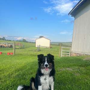 Meet your Posher, Tiffany